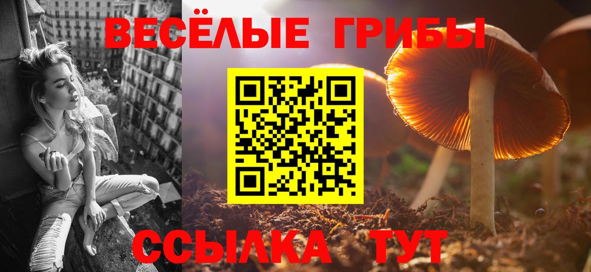 Галлюциногенные грибы MAGIC MUSHROOMS Реж