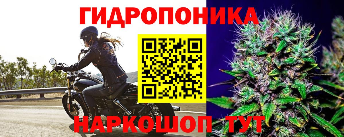Канабис AK-47  Марихуана план  Реж  Вход с VPN  Канабис ГИДРОПОН  Конопля SATIVA & INDICA 